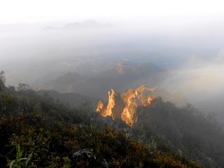 Jelajah Alam Liar Aceh di Gunung Burni Telong