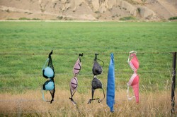 Kisah Pagar Bra yang Jadi Tempat Wisata di Selandia Baru