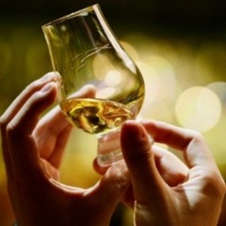 Bosan dengan Saham dan Obligasi? Coba Investasi yang Lebih Cair Ini