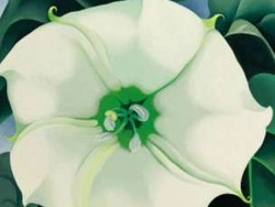 Lukisan Bunga Putih Catat Rekor Termahal