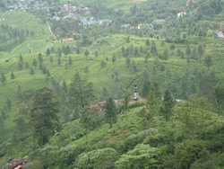 Bukit Gantole dan Telaga Warna, Sisi Lain Keindahan Puncak Bogor