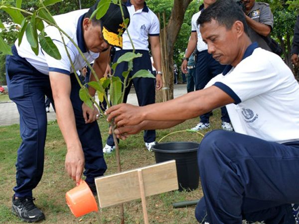 Gubernur AAL Tanam Pohon