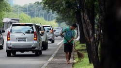 500 Pohon di Kota Bogor Rawan Tumbang