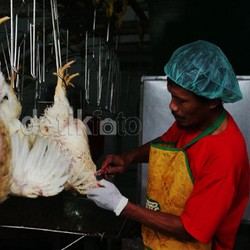 Jepang Resmi Buka Pintu Impor Nugget Ayam Asal Indonesia
