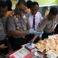 Honorer Dishub Jember Dibekuk, Ratusan Ribu Pil Dextro Disita Polisi