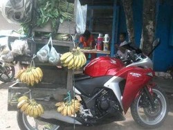 Ini Dia Motor-motor Sport yang Dipakai untuk Berdagang