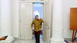 Temui Megawati, Ahok: Beliau Terima Wagub Pilihan Saya