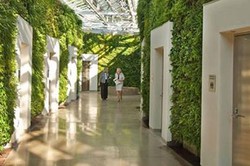 Toilet Umum Paling Keren di AS, Seperti Rumah Kaca!