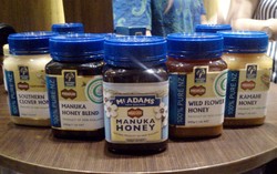 Madu Manuka dari Selandia Baru, Madu Antibakteri Unggul yang Kaya Khasiat