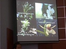 Ekspedisi ke Papua Barat, LIPI Perkirakan Temukan 50 Spesies Baru