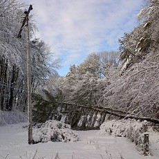 Dampak Badai Salju, 300 Ribu Warga AS Tak Dapat Aliran Listrik