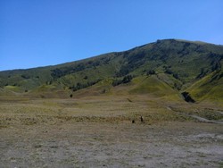 Savana di Afrika? Bukan, Ini di Bromo