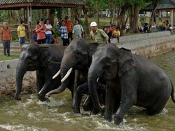 4 Alasan Kenapa Harus Akhir Pekan di Lampung