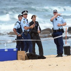 Hiii.. Main Pasir Pantai di Pantai Sydney, Anak-anak Temukan Mayat Bayi