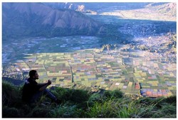 Keren! Ada Sawah Warna-warni di Kaki Rinjani