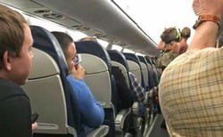 Ada-ada Saja, Wanita Ini Bawa Babi ke Dalam Pesawat