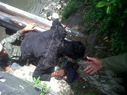 Kena Deh! Satpol PP Ringkus Gelandangan yang Bobo Siang di Kolong Jembatan