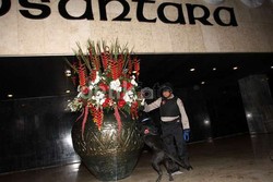 Foto Presiden Sukarno sampai SBY Dipasang di DPR, Mengapa Jokowi Belum?