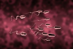 Asupan-asupan Ini Bikin Sperma Terasa Lebih Manis