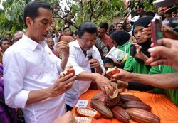 Presiden Jokowi Sudah Tahu KMP Bakal Tolak Perpu Pilkada