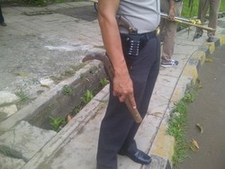 DPP Golkar Di-sweeping Polisi, Agung Laksono: Nggak Masalah