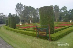 Bunga dari Prancis Sampai Jepang, Ada di Taman Bunga Nusantara