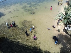 Pantai Kukup di Gunungkidul, Airnya Sebening Kaca