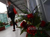 Bunga Warna-warni Percantik JPO HI