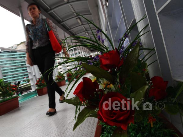 Bunga Warna-warni Percantik JPO HI