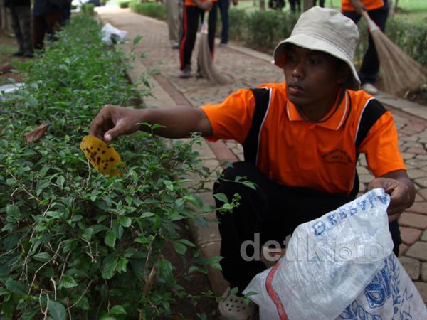 Pasien Gangguan Kejiwaan Bersih-bersih Monas