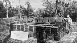 Lempengan Tjipetir yang Karam Seabad Lalu Diduga Sudah 3 Kali Kelilingi Bumi