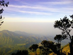 Dibuat Membisu Oleh Pemandangan di Gunung Lawu