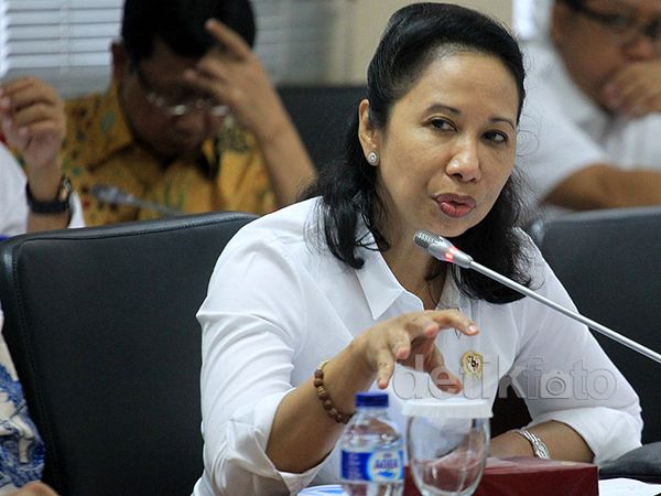 Menteri BUMN Paparkan Program Kerja ke DPD