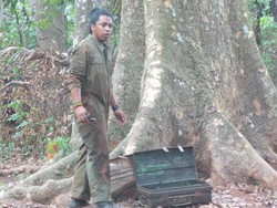 Comic 8 Hadapi Buaya di Tengah Hutan