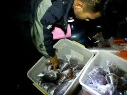 Politisi PPP Interupsi Paripurna, Minta Kasus Miras Oplosan Disoroti DPR