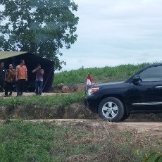 Jokowi Blusukan Off Road ke Hutan dan Kebun Sawit di Pangkalan Bun