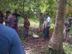 Panjat Pohon Kelapa, Nengah Tewas Tersambar Petir