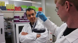 Antioksidan dan Rasa Sayuran Serta Buah Bisa Diciptakan Lewat Mikroba