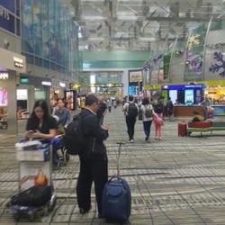 Wow! Terminal 4 Bandara Changi Luasnya 27 Kali Lapangan Bola