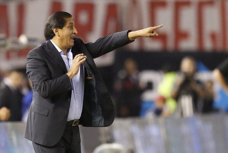 Paraguay Punya Pelatih Baru