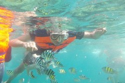 Snorkeling Bareng Ikan Cantik di Pulau Tidung