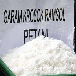 RI Rajin Impor Garam, Menteri Susi: Petani Susah Karena Ada 5 Samurai!