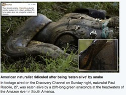 Hanya Dililit dan Digigit, Tak Ada Adegan Ditelan Anaconda di Eaten Alive