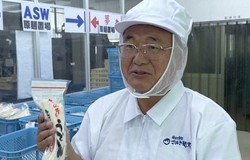 Perusahaan Teknologi Ini Berhasil Mengubah Sisa Udon Menjadi Tenaga Listrik