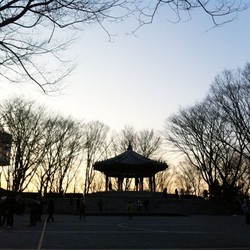 Melihat Indahnya Pemandangan Malam Hari di Namsan Park, Korea Selatan