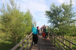 Siapa Sangka, Banda Aceh Punya Hutan Kota Secantik Ini