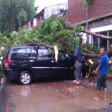 Inilah Pohon Tumbang dan Tiang Listrik Roboh di Kawasan Surabaya