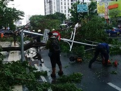 Tiga Pohon Depan Dua Hotel Tumbang Saat Hujan Disertai Angin Kencang