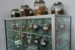 Hebat! Jamu Saintifik Asam Urat dan Hipertensi Sudah Setara Obat Modern