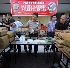 Sita 355 Kg Ganja, Polresta Medan Bongkar Peredaran Ganja di Kampus